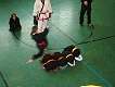 2004_0327fung0025