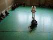 2004_0327orange0074